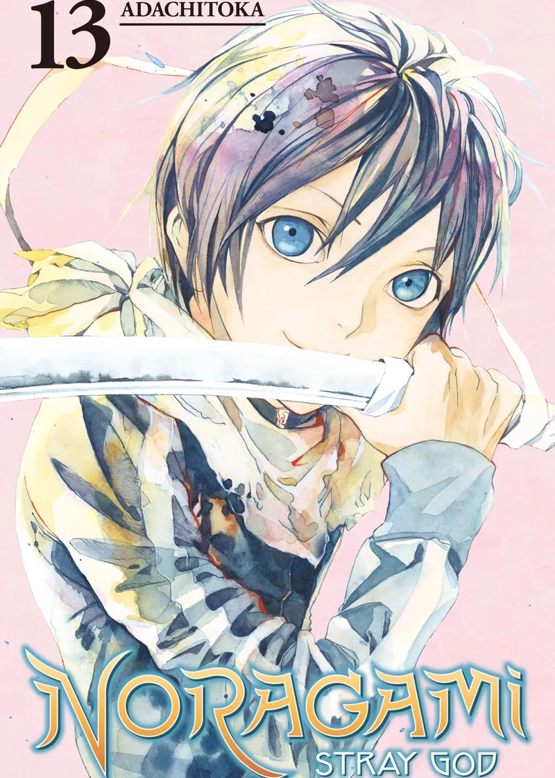 Noragami: Stray God Volume 13