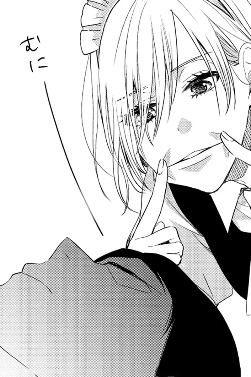 My Maid, Miss Kishi