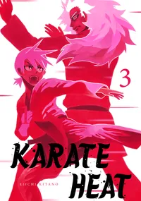 Karate Heat Volume 3 cover