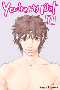 You're My Pet Volume 11 cover