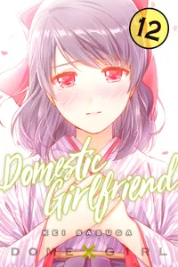 Domestic Girlfriend Volume 12 cover