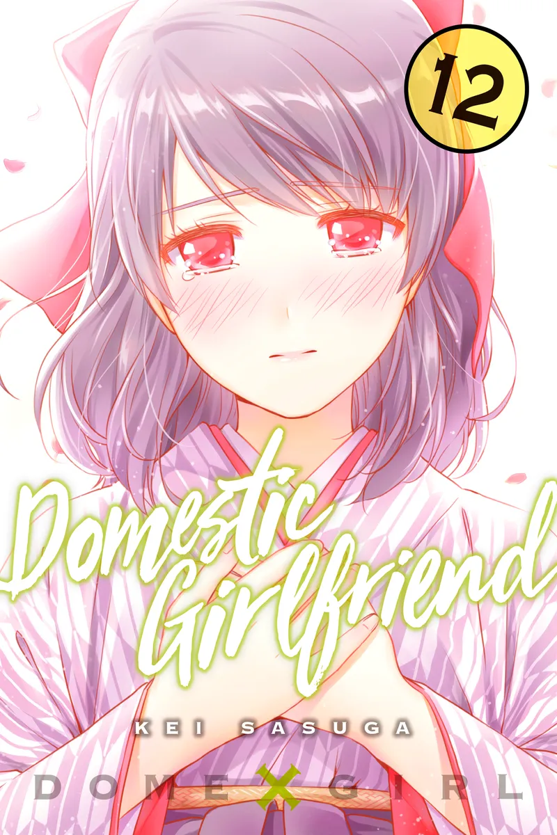 Domestic Girlfriend Volume 12