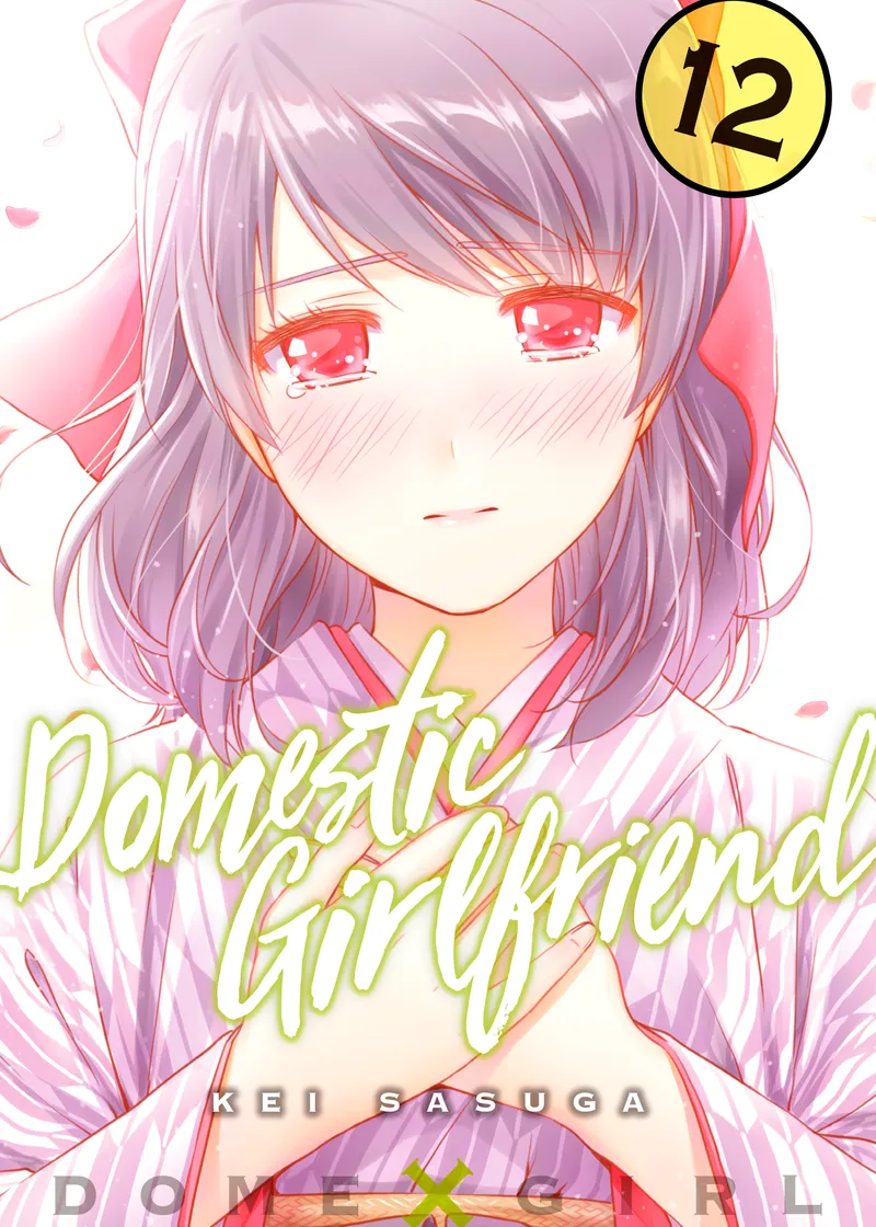 Domestic Girlfriend Volume 12