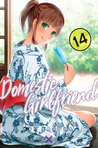 Domestic Girlfriend Volume 14 cover