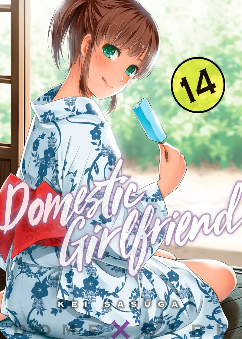 Domestic Girlfriend Volume 14