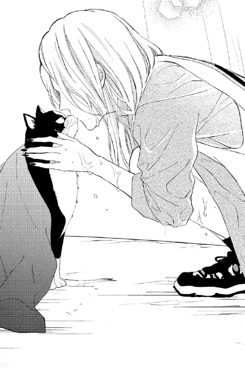 A Kiss with a Cat
