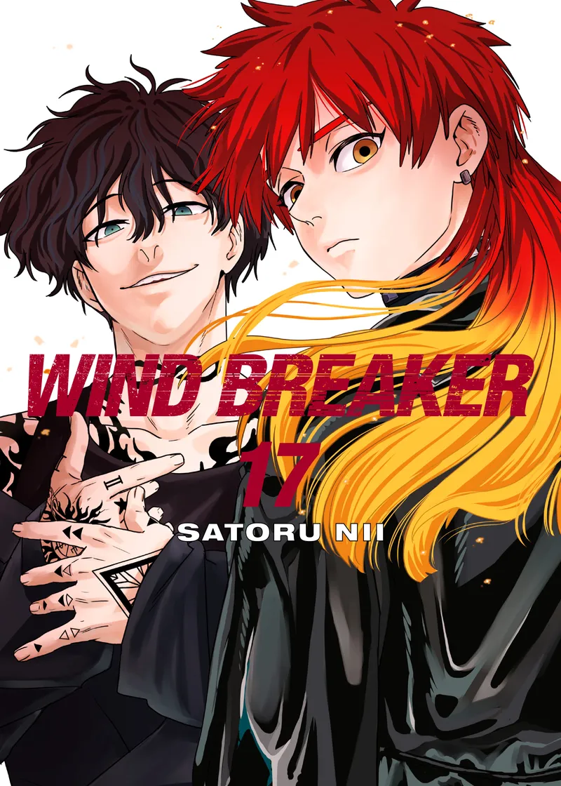 WIND BREAKER Volume 17