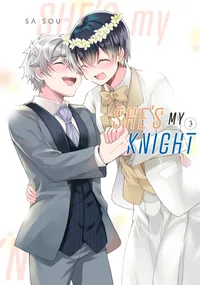 She's My Knight Volume 3 cover