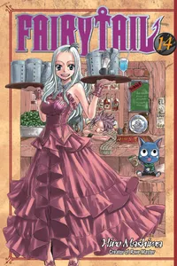 FAIRY TAIL Volume 14 cover