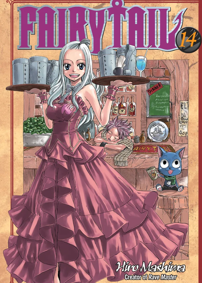 FAIRY TAIL Volume 14