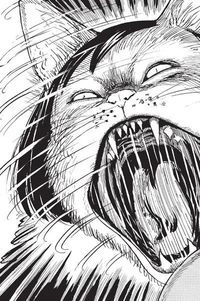 Junji Ito's Cat Diary: Yon & Mu