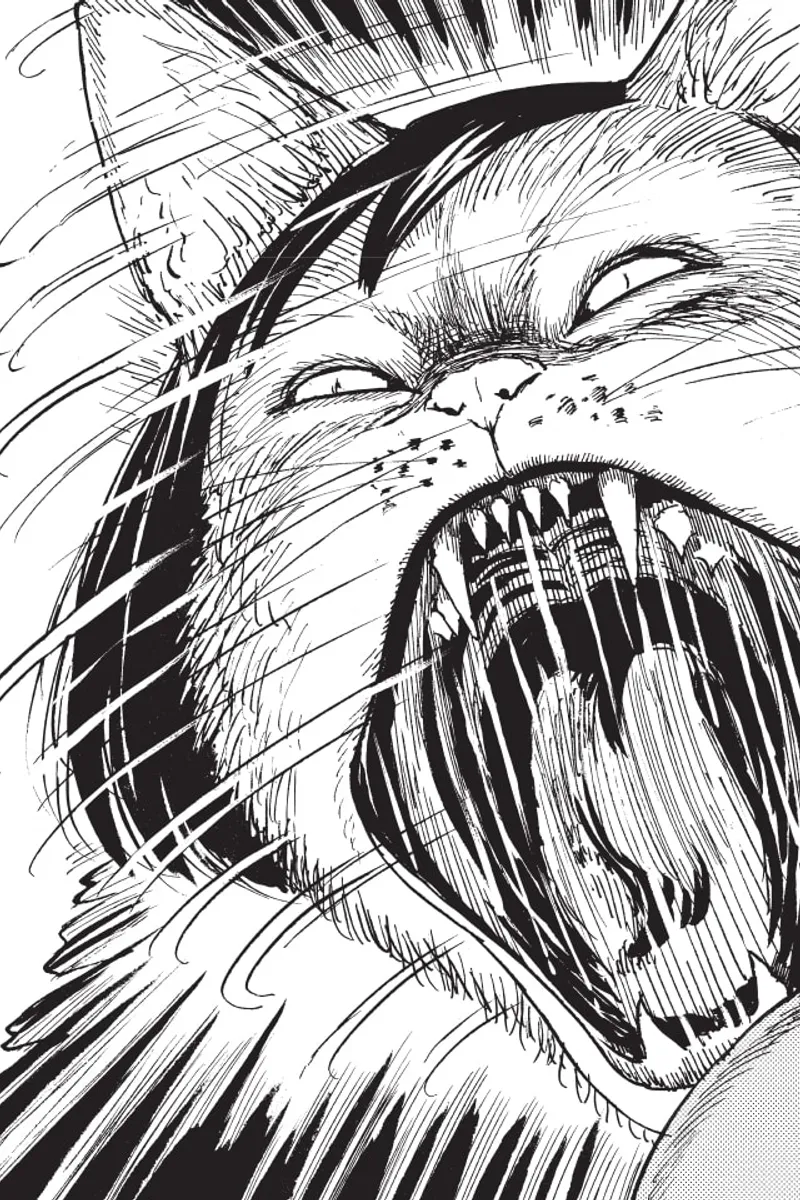 Junji Ito's Cat Diary: Yon & Mu
