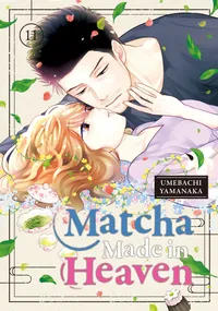 Matcha Made in Heaven Volume 11 cover