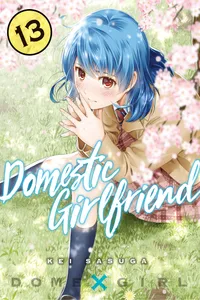 Domestic Girlfriend Volume 13 cover