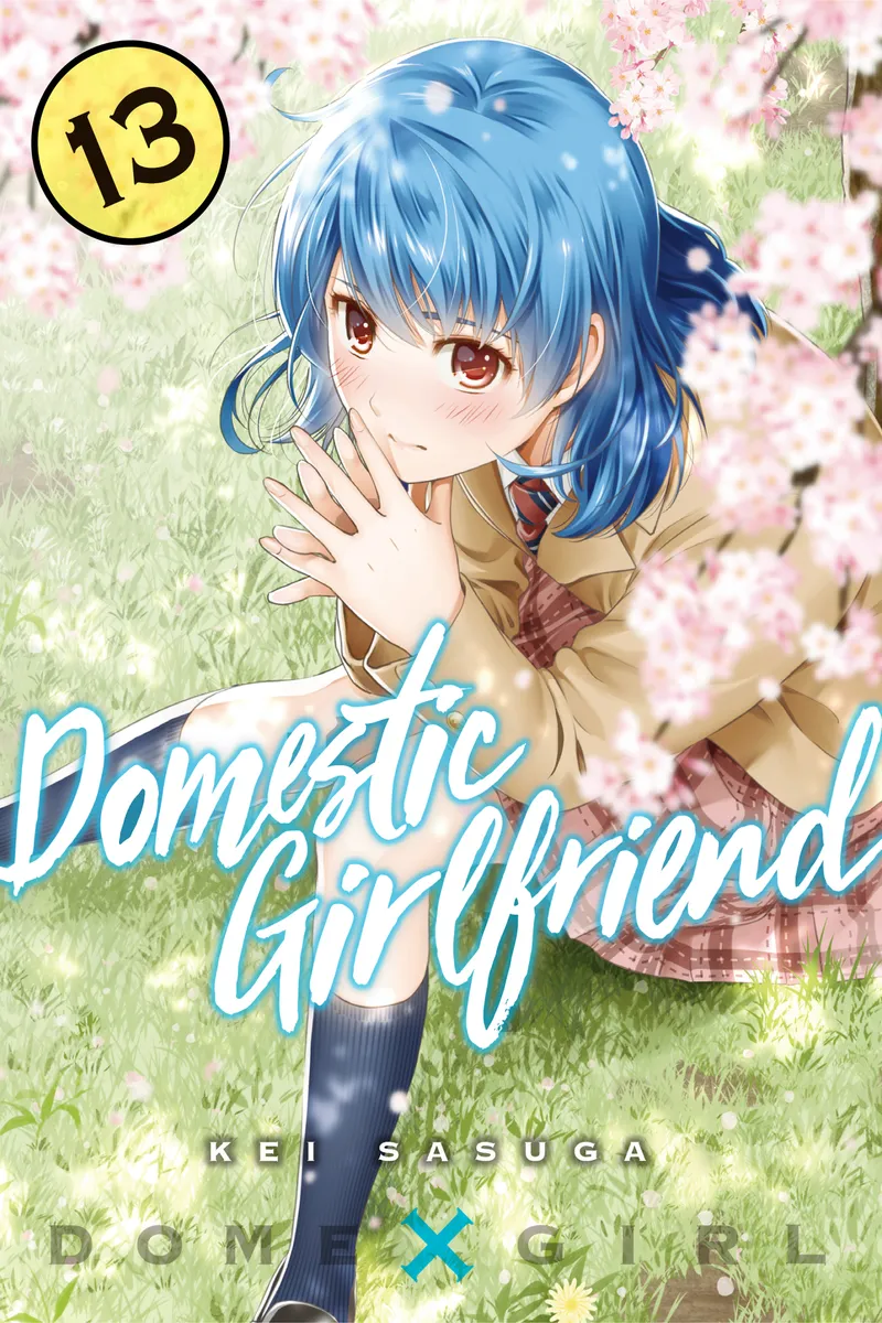 Domestic Girlfriend Volume 13