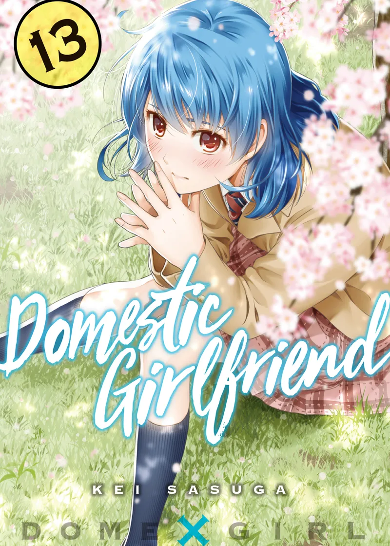 Domestic Girlfriend Volume 13
