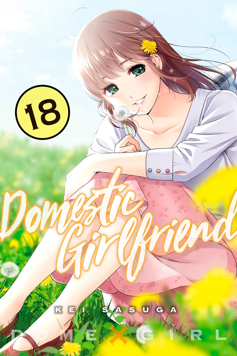 Domestic Girlfriend Volume 18