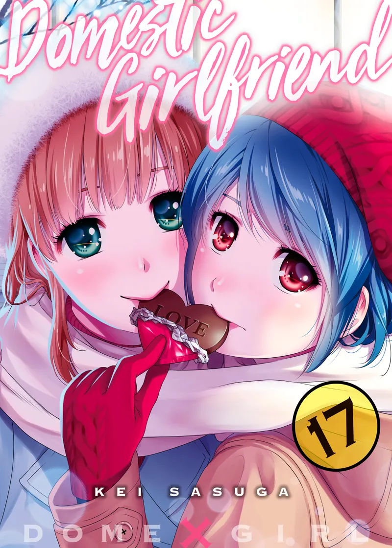 Domestic Girlfriend Volume 17