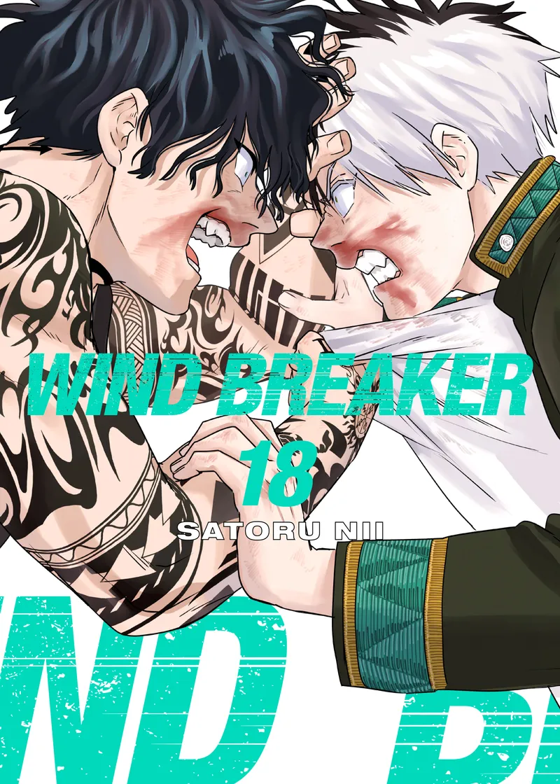 WIND BREAKER Volume 18