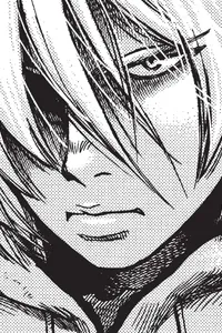 Vinland Saga