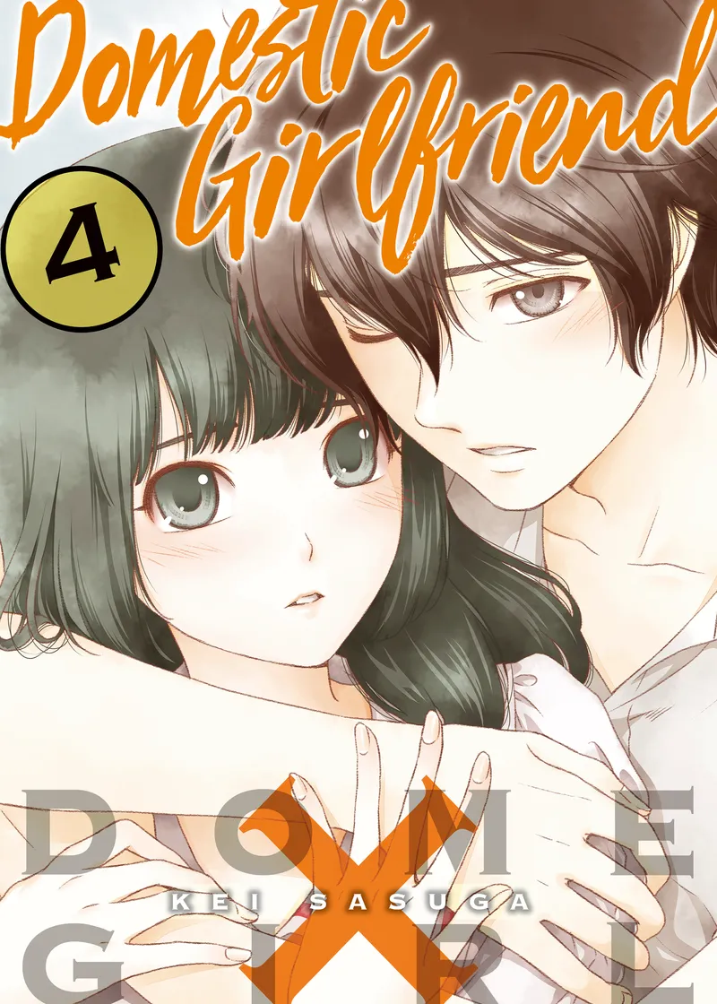 Domestic Girlfriend Volume 4