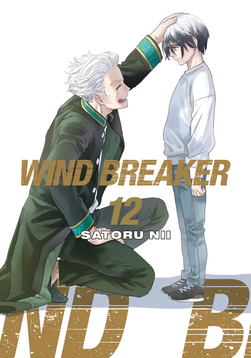 WIND BREAKER Volume 12