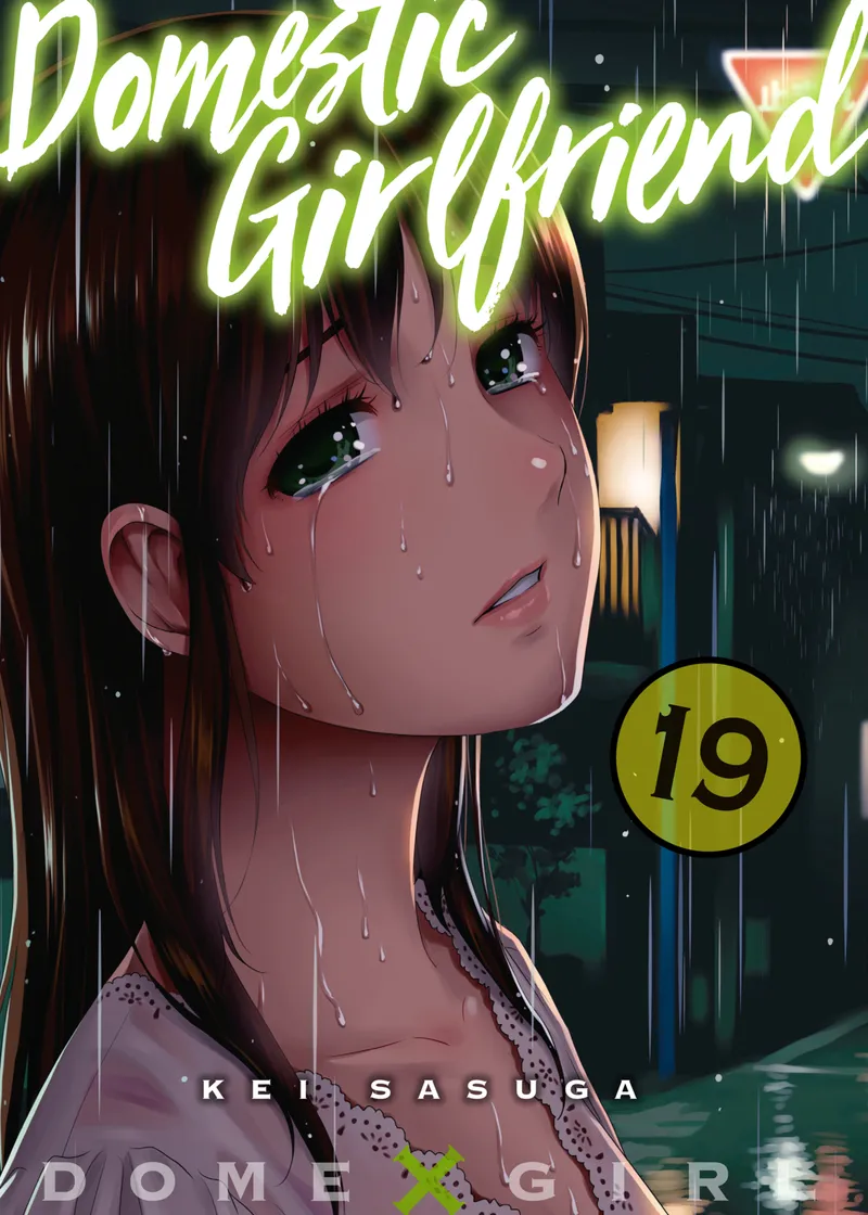 Domestic Girlfriend Volume 19