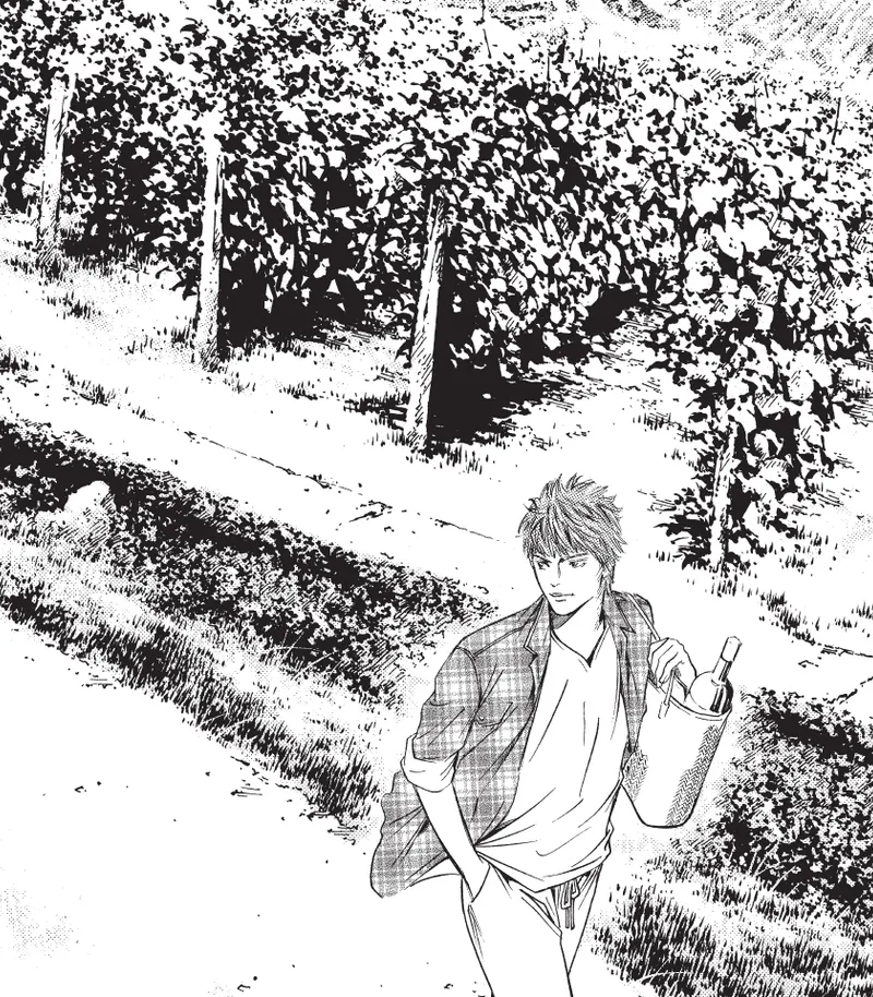 Drops of God: Mariage