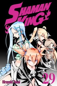 SHAMAN KING Volume 29 cover
