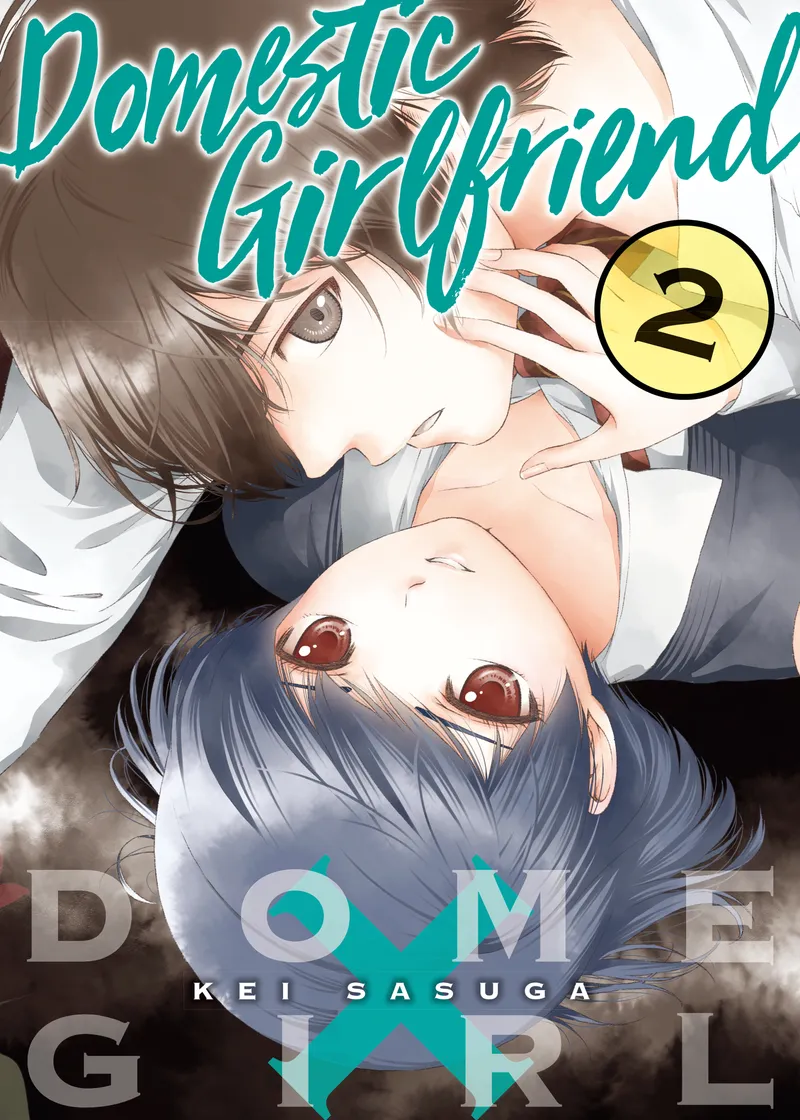 Domestic Girlfriend Volume 2