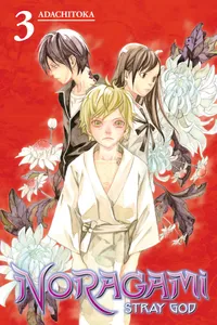 Noragami: Stray God Volume 3 cover