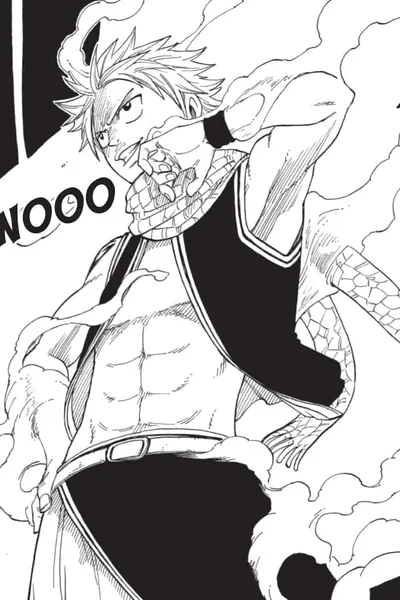 FAIRY TAIL Master's Edition