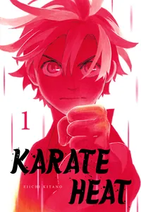 Karate Heat Volume 1 cover