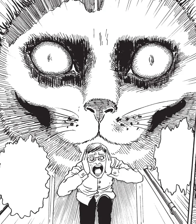 Junji Ito's Cat Diary: Yon & Mu Collector's Edition 