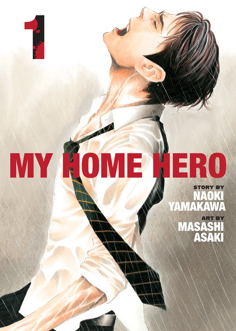 My Home Hero Volume 1