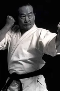 Best Karate Series
