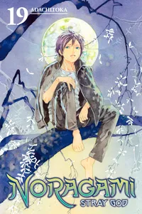 Noragami: Stray God Volume 19 cover