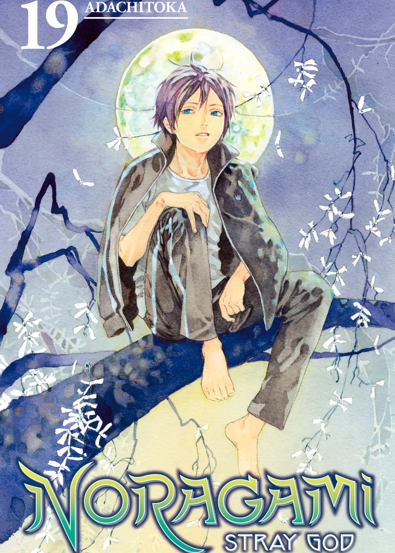 Noragami: Stray God Volume 19