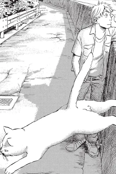 When a Cat Faces West