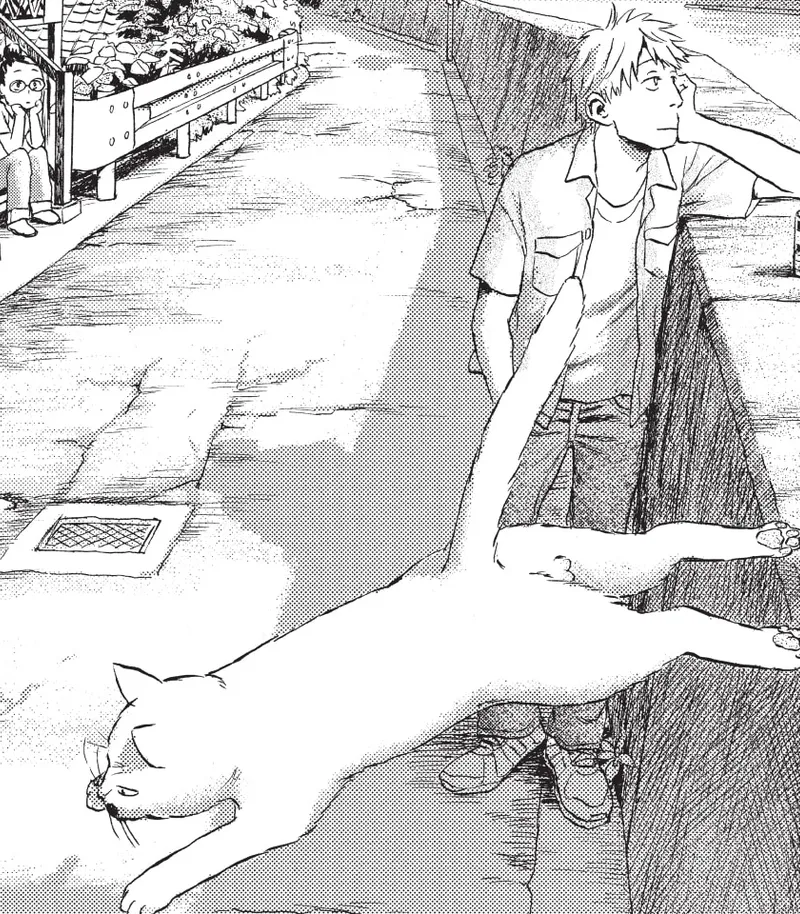 When a Cat Faces West