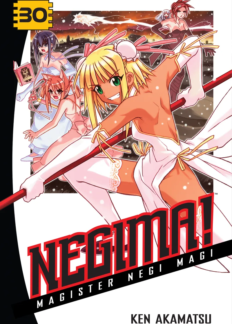 Negima! Volume 30