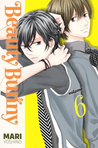 Beauty Bunny Volume 6 cover