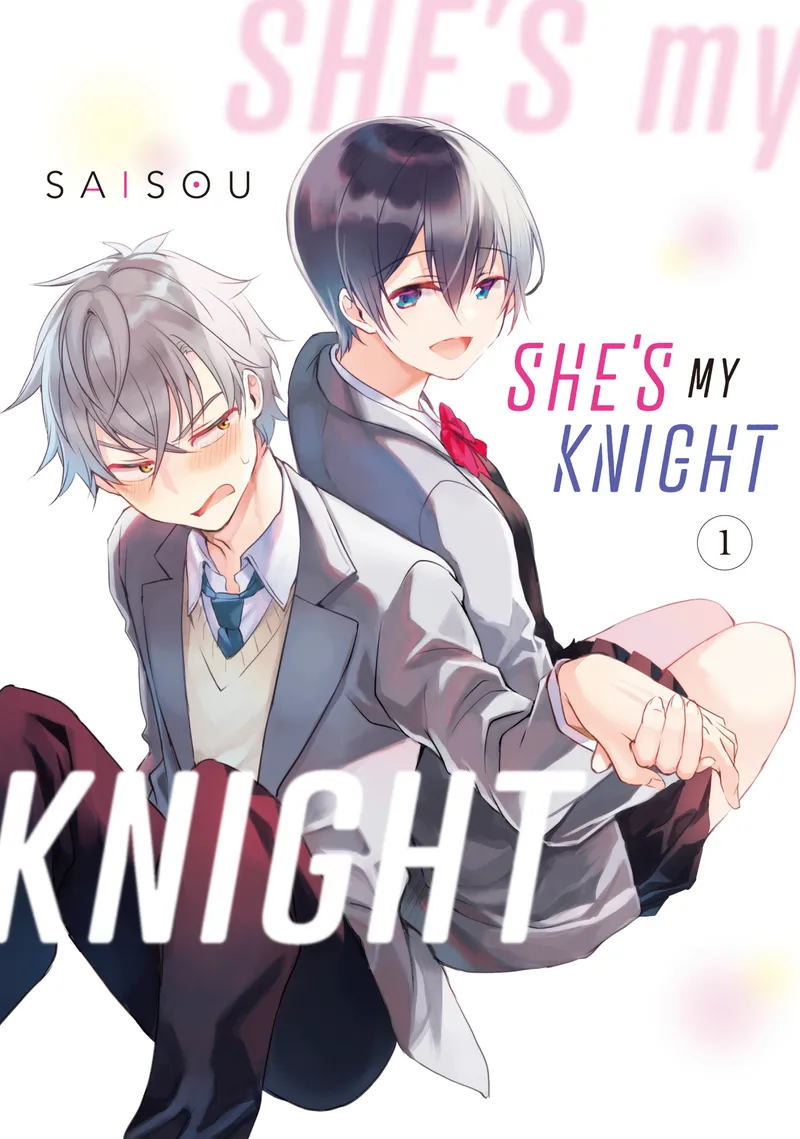 She's My Knight Volume 1