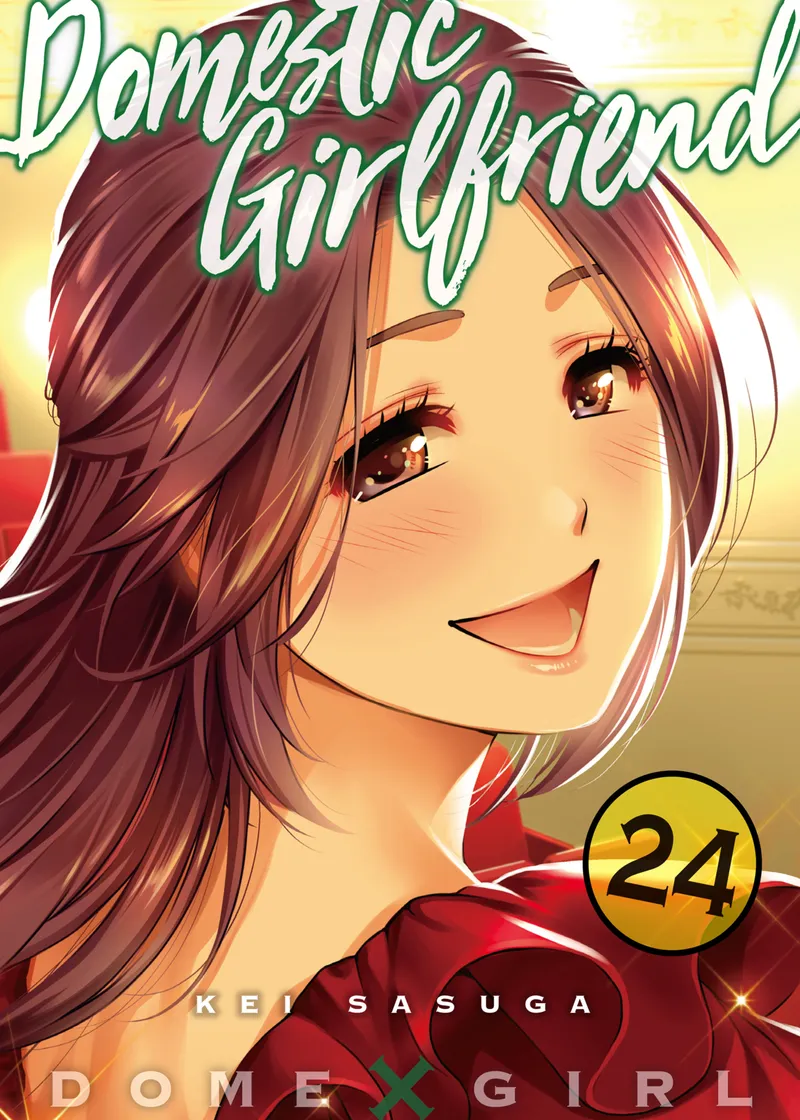 Domestic Girlfriend Volume 24