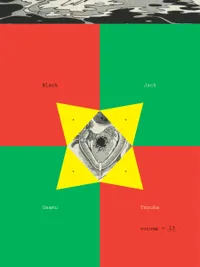 Black Jack Volume 13 cover