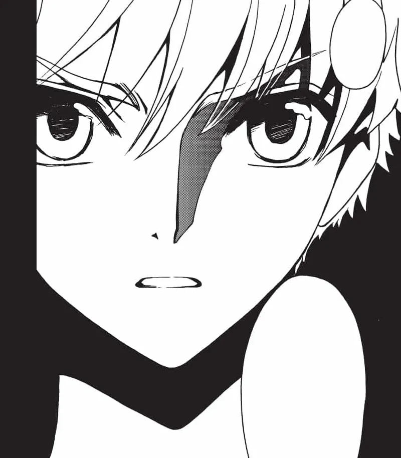 Tsubasa: WoRLD CHRoNiCLE: Niraikanai