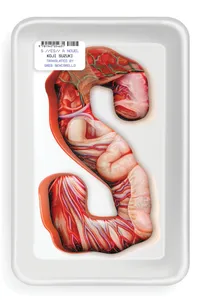 Ring Trilogy Volume S (paperback) cover