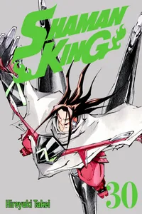 SHAMAN KING Volume 30 cover