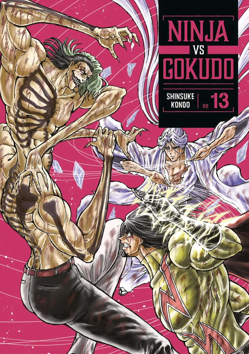 Ninja Vs. Gokudo - Volume 13