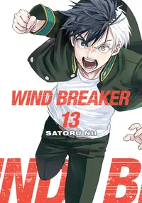WIND BREAKER Volume 13 cover